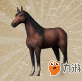 明日之后夸特馬怎么樣 夸特馬介紹一覽