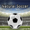 自然足球natural soccer