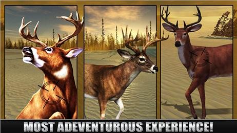 鹿狩猎季节截图3
