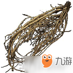 《Atlas》根茎可制造什么 根茎可制造物品介绍