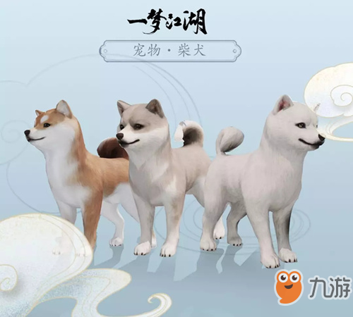 《一夢(mèng)江湖》新寵物柴犬怎么樣 柴犬圖鑒介紹