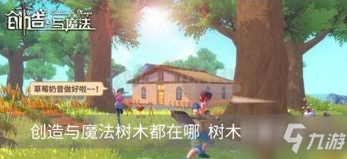 《创造与魔法》树木都在哪 树木分布一览