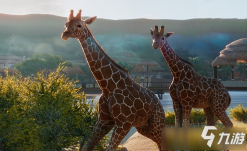 《動物園之星》怎么換玻璃 換玻璃教程分享