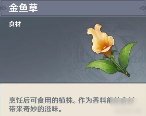 《原神》金魚草怎么獲得 金魚草采集位置推薦