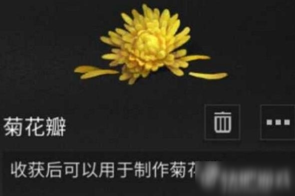 明日之后菊花瓣怎么獲得 菊花瓣獲取方法