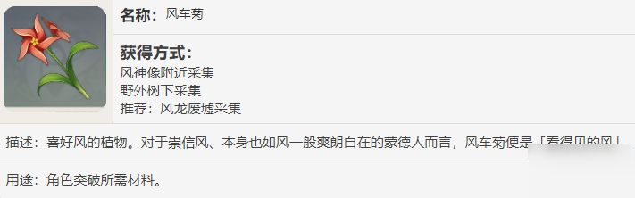 原神風(fēng)車(chē)菊怎么獲得 風(fēng)車(chē)菊獲取攻略