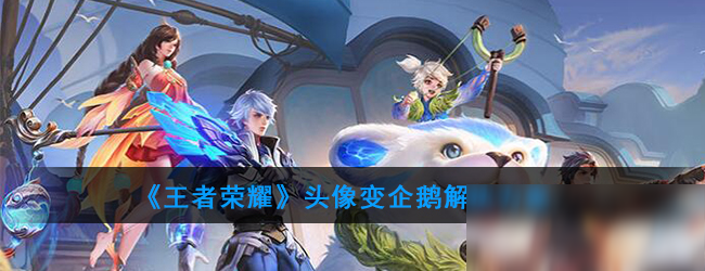 《王者荣耀》头像变企鹅怎么办 头像变企鹅解决方案