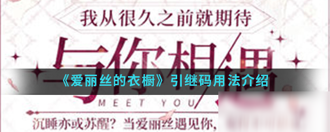 《爱丽丝的衣橱》引继码怎么用 引继码用法一览
