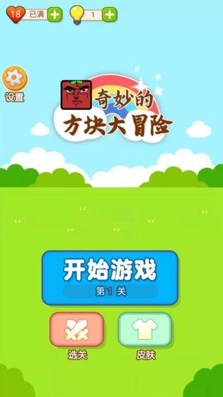 奇妙的方块大冒险截图