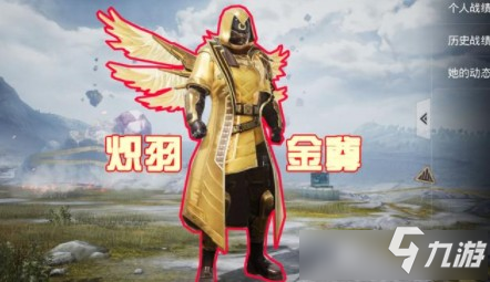 《和平精英》炽羽金尊兑换码怎么获得 炽羽金尊兑换码