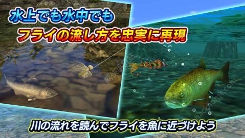 3D假蠅釣魚2截圖2