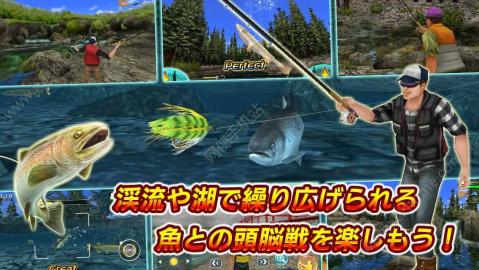 3D假蠅釣魚2截圖1