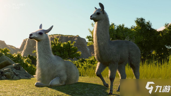 《动物园之星》南美组合DLC有什么内容 南美组合DLC介绍