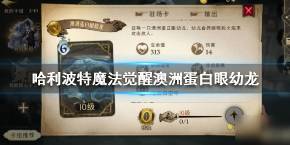 《哈利波特魔法觉醒》澳洲蛋白眼幼龙怎么样 澳洲蛋白眼幼龙介绍