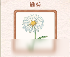 《花店物語》雛菊鮮花收益怎么樣 雛菊鮮花收益介紹