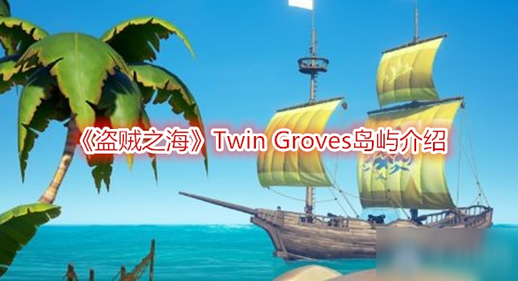 《盜賊之海》Twin Groves怎么樣 島嶼詳細(xì)介紹