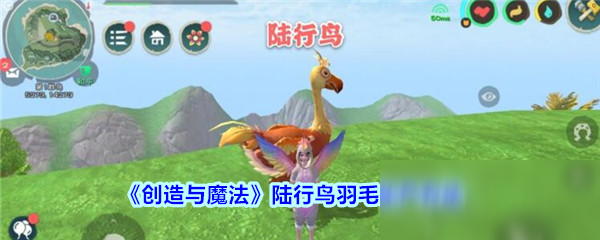 《創(chuàng)造與魔法》陸行鳥羽毛怎么生產 陸行鳥羽毛生產方法分享