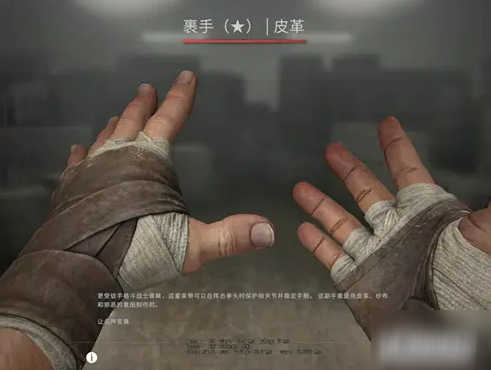 《CSGO》皮革裹手比较适合搭配的枪械皮肤怎么选 适合搭配的枪械皮肤推荐