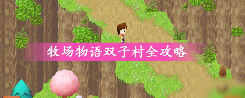 《牧场物语》双子村怎么玩 双子村全攻略