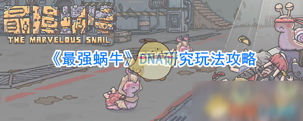 《最强蜗牛》DNA研究怎么玩 DNA研究玩法攻略