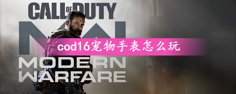 《cod16》寵物手表怎么用 寵物手表使用教學(xué)攻略