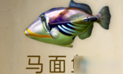 《明日之后》馬面魚(yú)怎么獲得 馬面魚(yú)獲得方法介紹