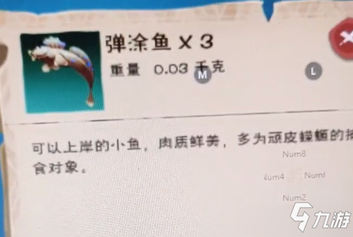 《創(chuàng)造與魔法》彈涂魚在哪釣 彈涂魚刷新位置一覽