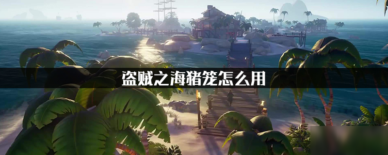 《盗贼之海》猪笼怎么用 猪笼使用方法