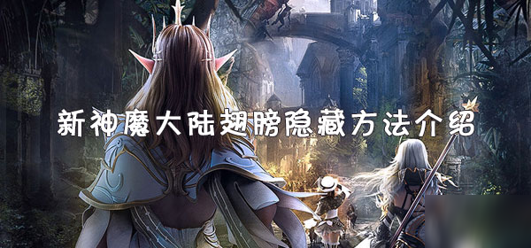 《新神魔大陆》翅膀怎么隐藏 翅膀隐藏方法介绍