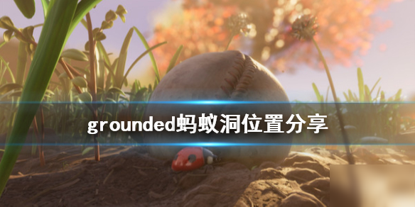 《grounded》螞蟻洞在哪 螞蟻洞位置介紹