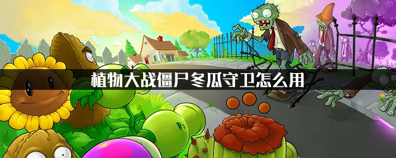 《植物大战僵尸》冬瓜守卫怎么玩 冬瓜守卫使用技巧攻略截图