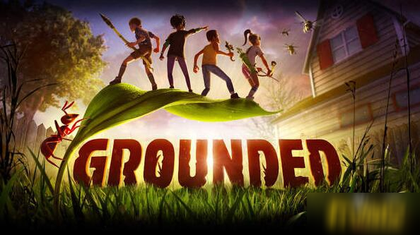 《Grounded》狼蛛如何擊殺 擊殺狼蛛技巧分享