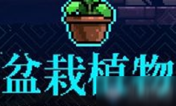 《霓虹深渊》盆栽植物怎么样 盆栽植物介绍