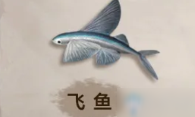 《明日之后》飛魚(yú)怎么獲得 飛魚(yú)獲取途徑分享