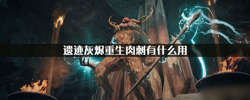 《遗迹灰烬重生》肉刺有什么用 肉刺作用介绍