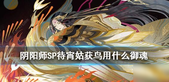 《陰陽師》姑獲鳥御魂怎么搭配 SP姑獲鳥御魂搭配推薦