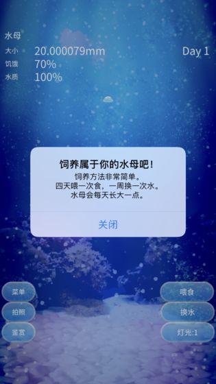 養(yǎng)育水母的治愈游戲截圖1