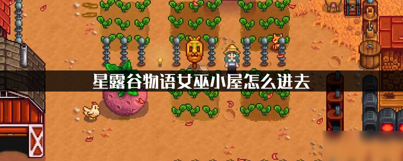 星露谷物語女巫小屋怎么進(jìn) 女巫小屋進(jìn)入方法