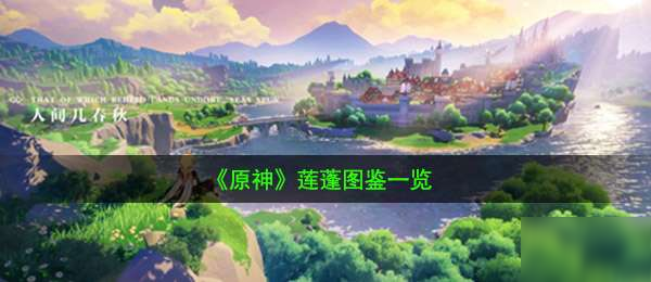 《原神》手游莲蓬是什么 莲蓬属性分享