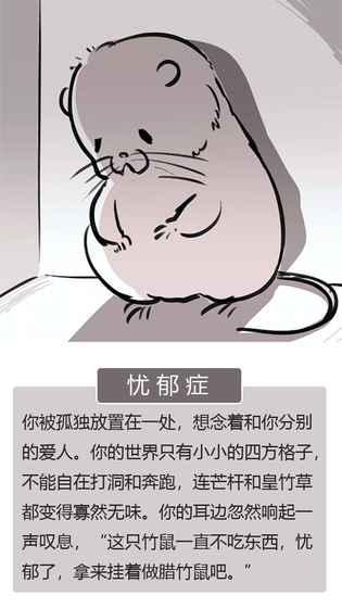 竹鼠活下去截图