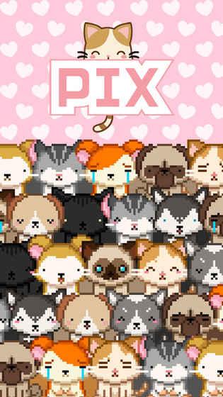 Pix截图4