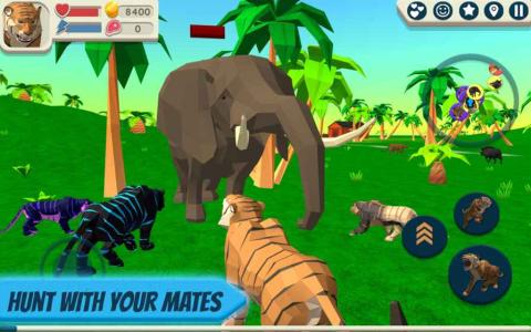 TigerSimulator3D截图1