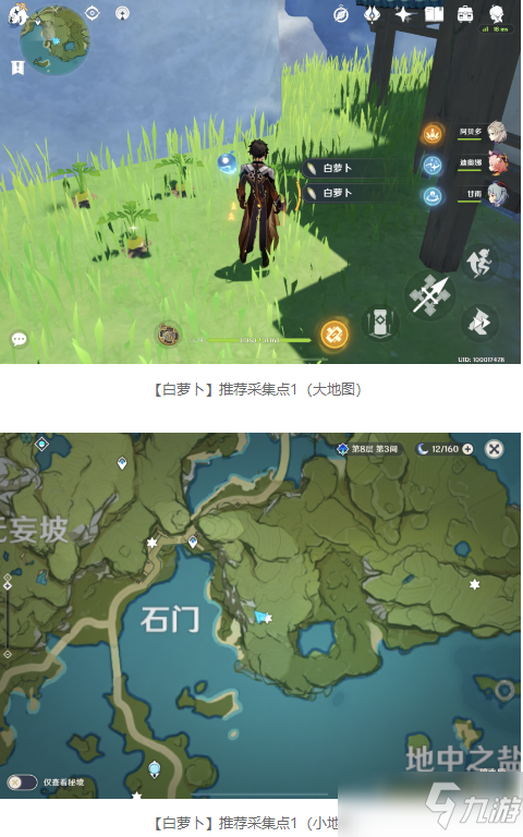 《原神》白萝卜采集点在哪 白萝卜采集点介绍