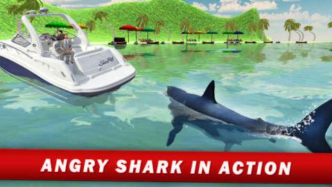 为什么要使用鲨鱼加速器？
