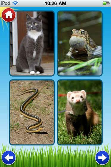 AnimalSounds截圖1