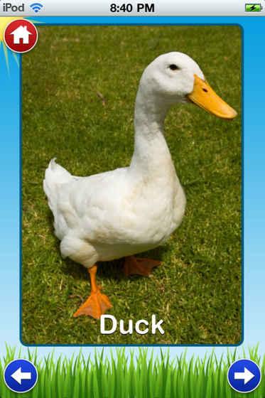 AnimalSounds截圖