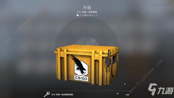 《csgo》裹腳銀翼窟窿價格介紹 裹腳銀翼窟窿是什么