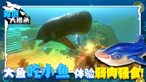 海底大猎杀3d加速器