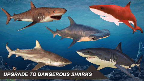 SharkSimulator2018截图1