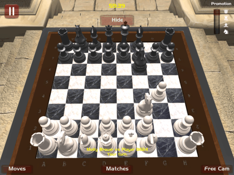 ChessKing截图1